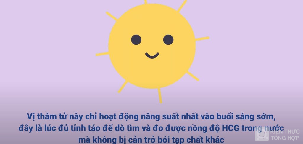 Sử dụng que thử thai vào buổi sáng để có kết quả chính xác nhất