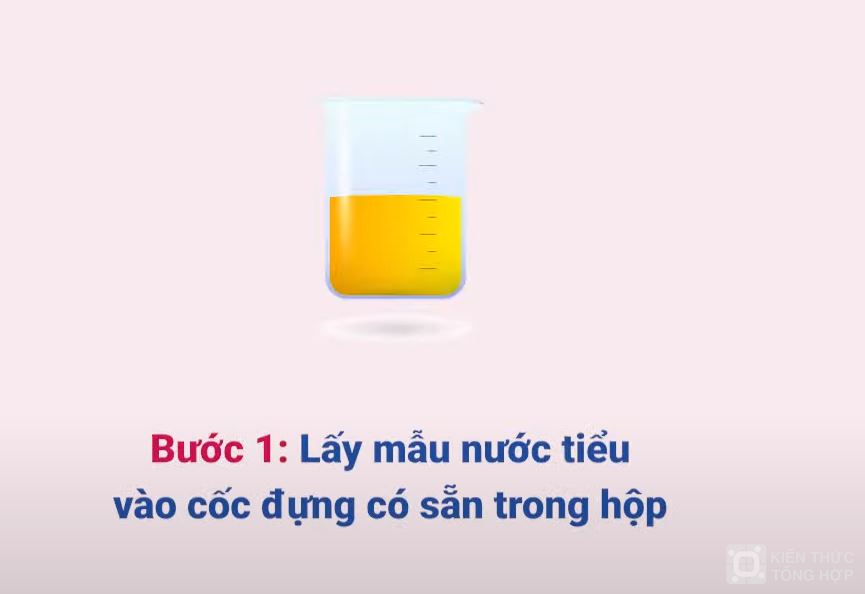 Lấy nước tiểu