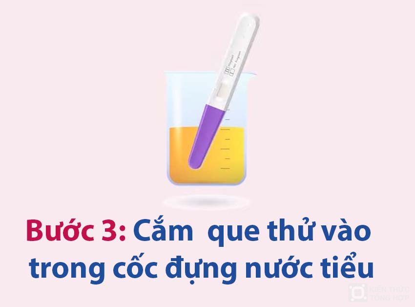 Cám que thử vào trong cốc