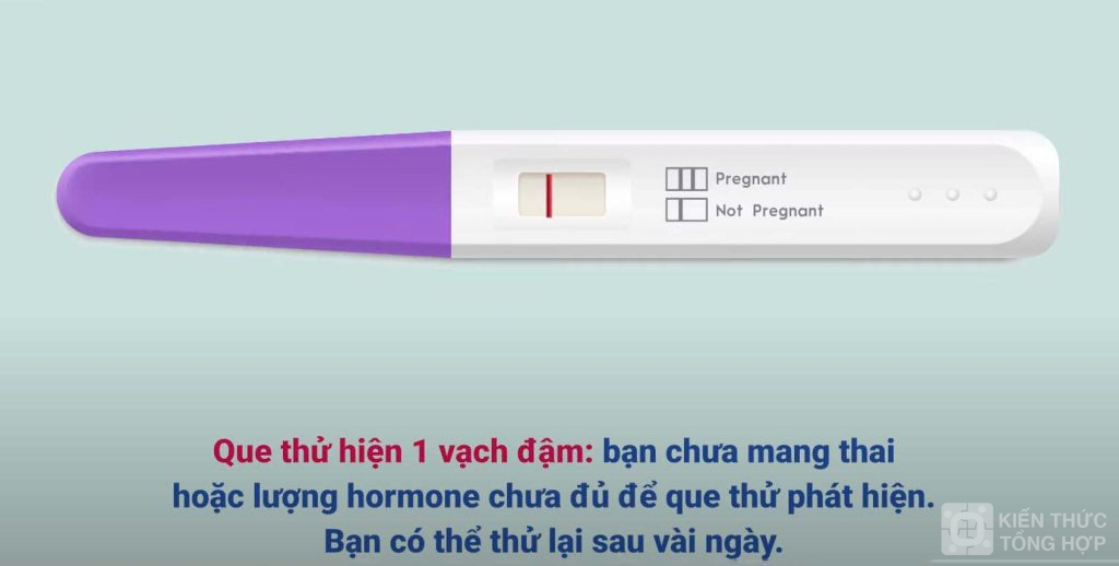 Que thử thai chỉ có 1 Vạch đậm