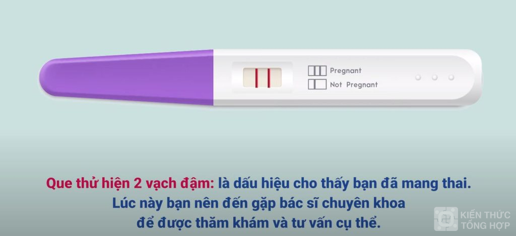 Que thử thai 2 vạch đậm