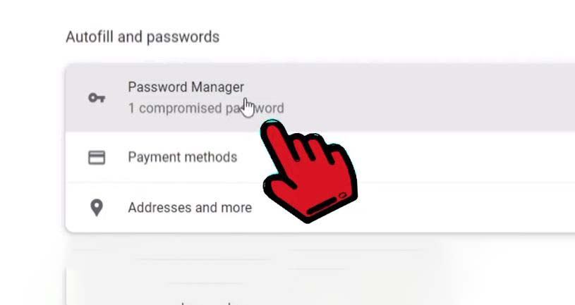 Chọn Password Manager