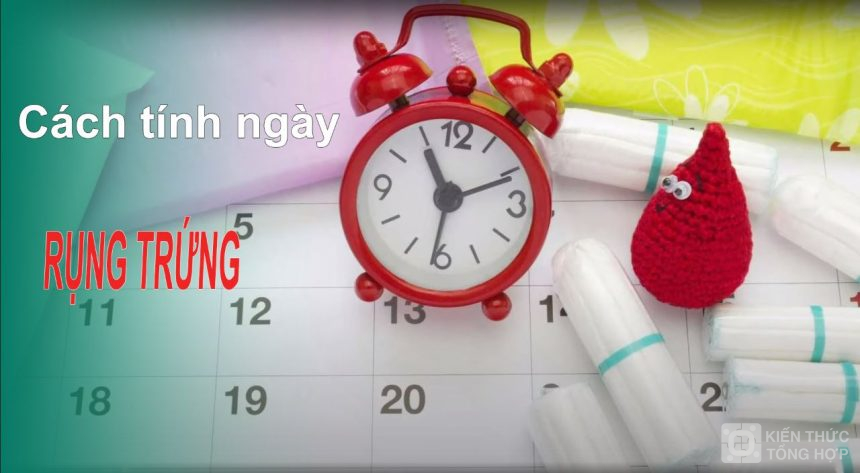 cách tính ngày rụng trứng khi kinh nguyệt không đều