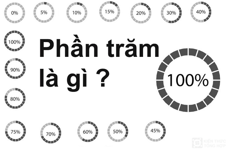 Tỷ lệ phần trăm là gì ?