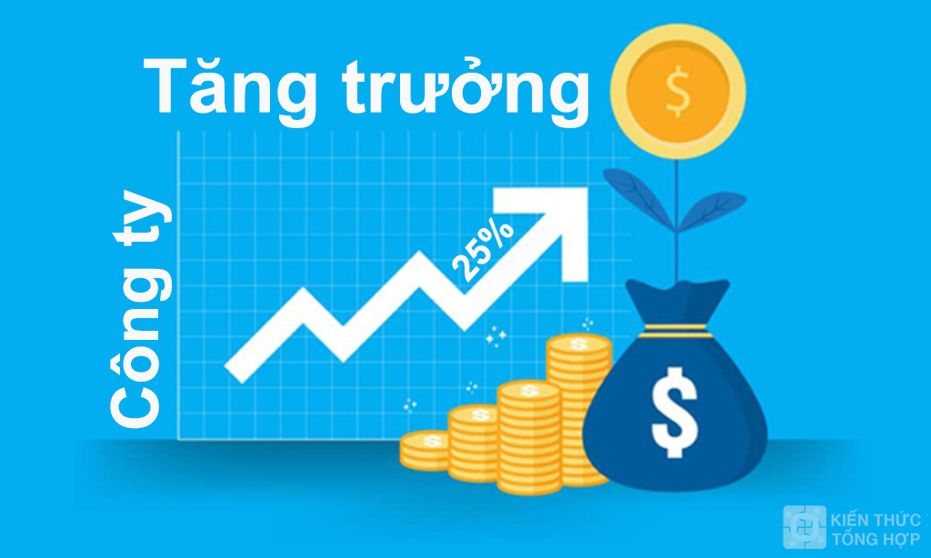 Cách tính phần trăm tăng trưởng cty