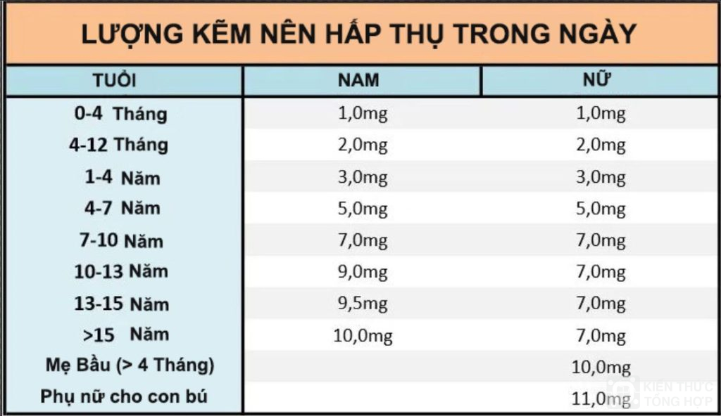 Định lượng kẽm nên hấp thụ trong 1 ngày