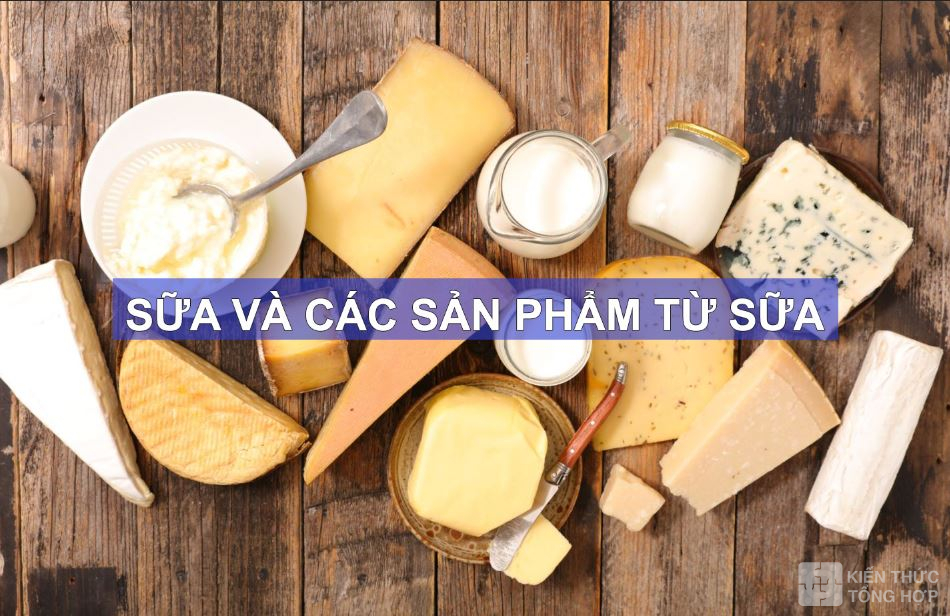 Sữa và các sản phẩm từ sữa cũng bổ sung kẽm cho cơ thể