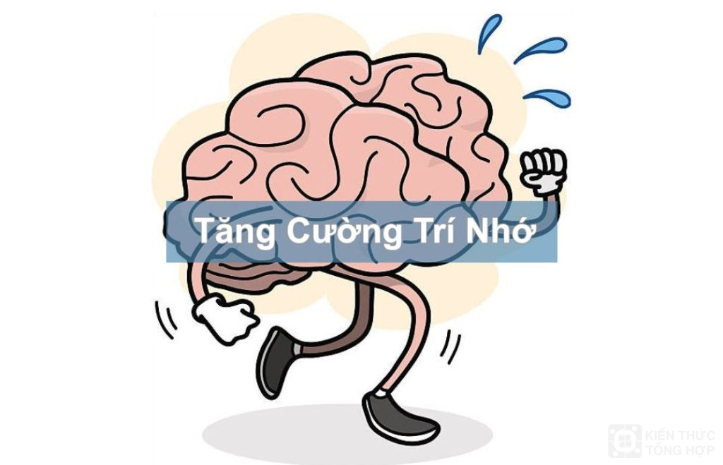 Chạy bộ giúp cải thiện trí nhớ