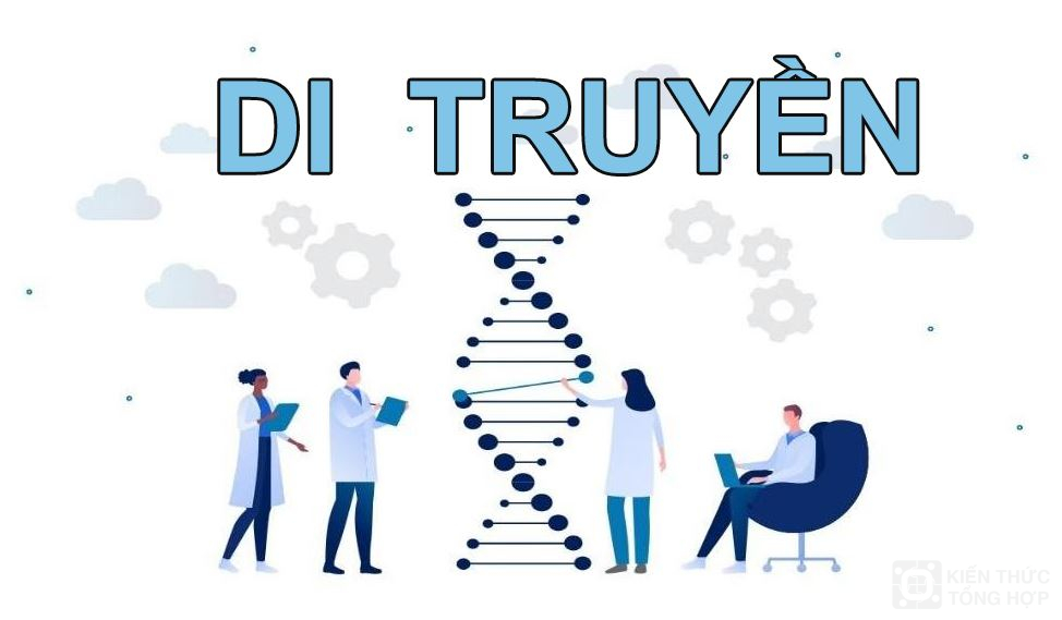 Trẻ di truyền gen từ bố và mẹ