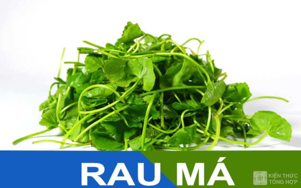 Những điều cần biết về rau má