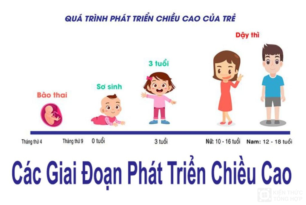 Các giai đoạn phát triển chiều cao cho trẻ