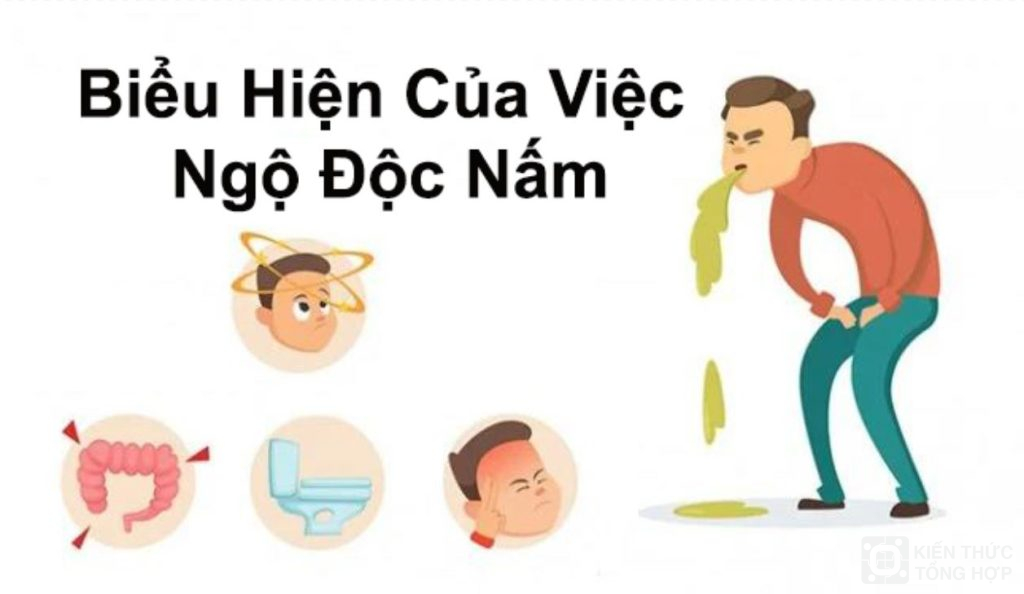 Biểu hiện của nấm độc