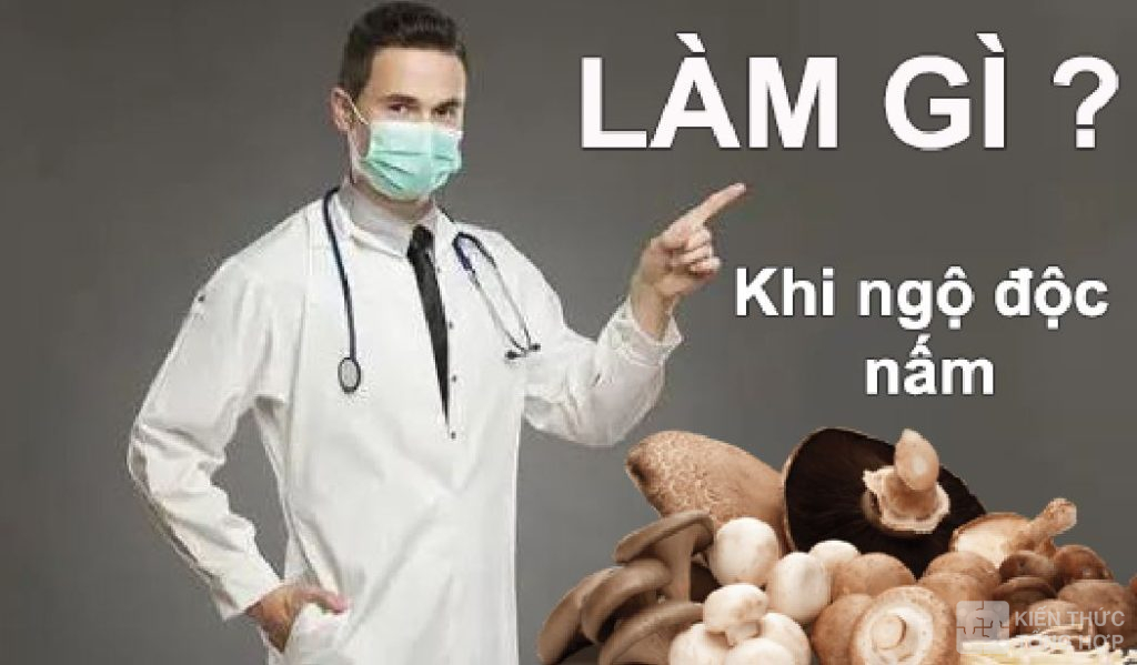 Nên tham khảo ý kiến về những người có chuyên môn về nấm