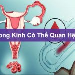 Rong kinh có quan hệ được không